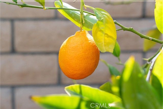 1720 San Alvarado Circle, Corona, CA 92882