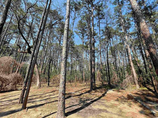 145 Howard Rd., Higden, AR 72067