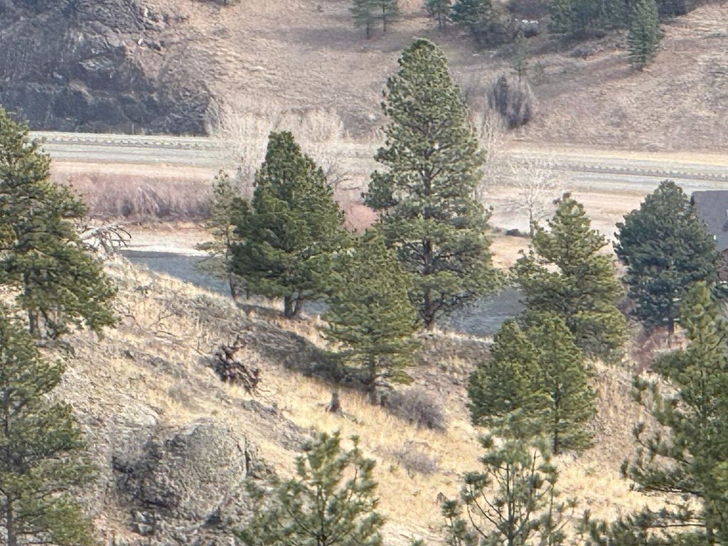 NHN Big Pine LN, Cascade, MT 59421 photo 10