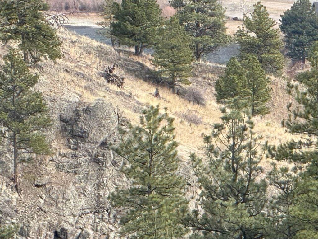 NHN Big Pine LN, Cascade, MT 59421 photo 11