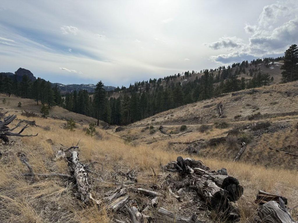 NHN Big Pine LN, Cascade, MT 59421 photo 15