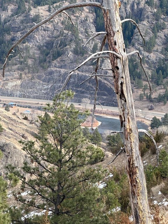 NHN Big Pine LN, Cascade, MT 59421 photo 3