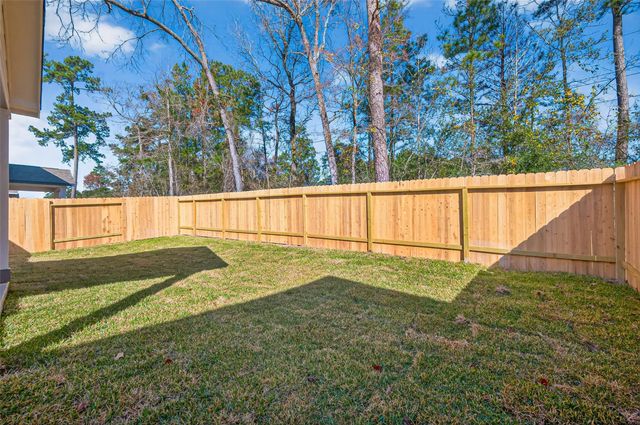 8514 Blueberry Ash Street, Magnolia, TX 77354