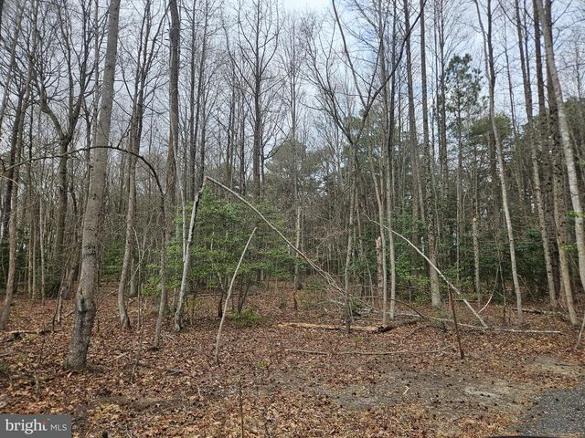 15411 MEGAN JOY RD, Lincoln, DE 19960