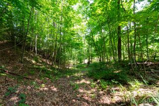 ### Board Tree Road 4, Marshall, NC 28753