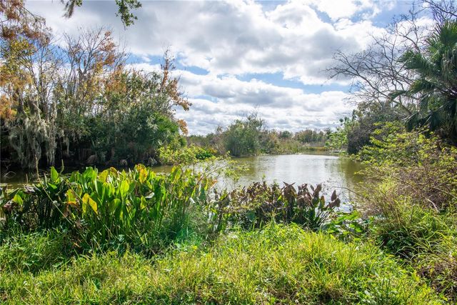 17510 RAIN TREE COURT, Montverde, FL 34756