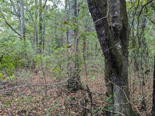 0 ALPINE Drive, Deatsville, AL 36022