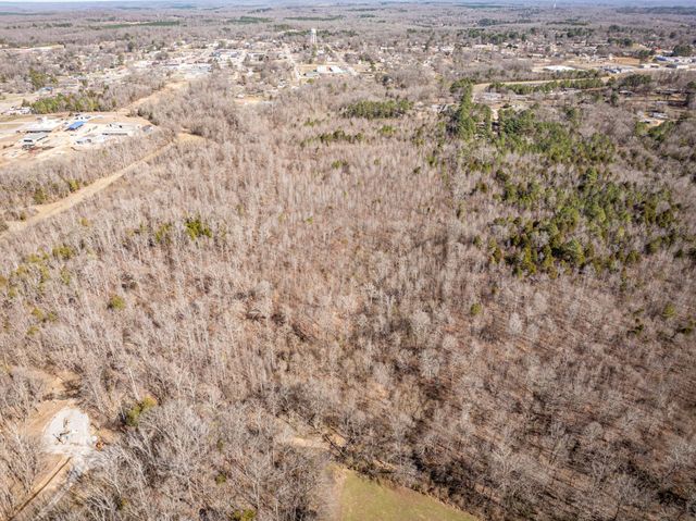 0 Gunn Gardens Place, Parsons, TN 38363