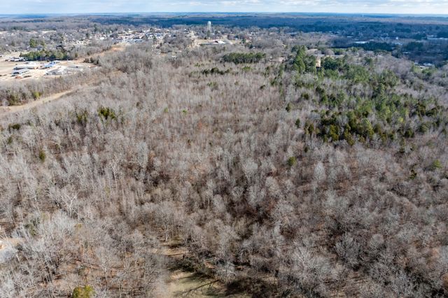 0 Gunn Gardens Place, Parsons, TN 38363