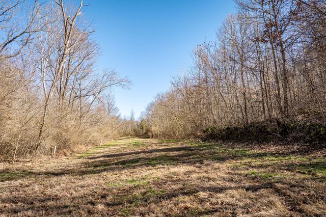 0 Gunn Gardens Place, Parsons, TN 38363
