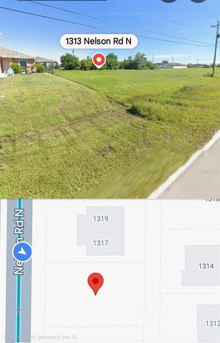 1313 NELSON ROAD N, Cape Coral, FL 33993