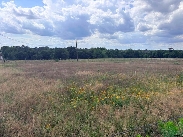 TBD COUNTY ROAD 1140, Tyler, TX 75709