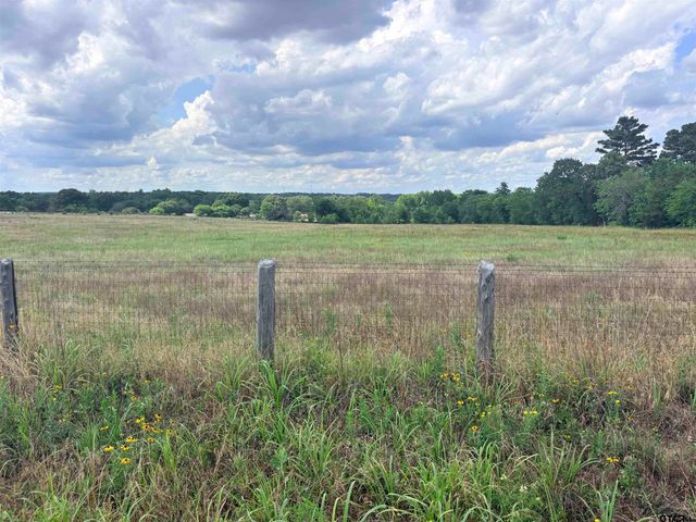 TBD COUNTY ROAD 1140, Tyler, TX 75709