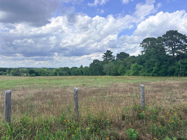 TBD COUNTY ROAD 1140, Tyler, TX 75709