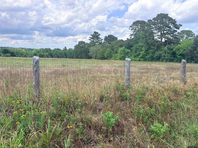 TBD COUNTY ROAD 1140, Tyler, TX 75709