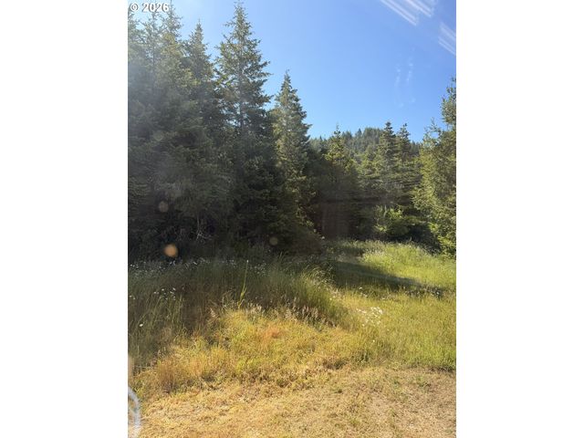 94515 LANGLOIS MOUNTAIN Rd, Langlois, OR 97450