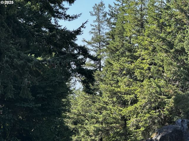 94515 LANGLOIS MOUNTAIN Rd, Langlois, OR 97450