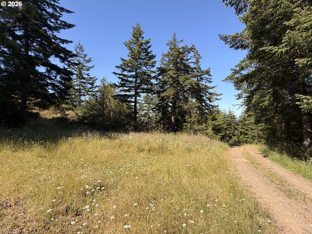94515 LANGLOIS MOUNTAIN Rd, Langlois, OR 97450