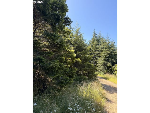 94515 LANGLOIS MOUNTAIN Rd, Langlois, OR 97450