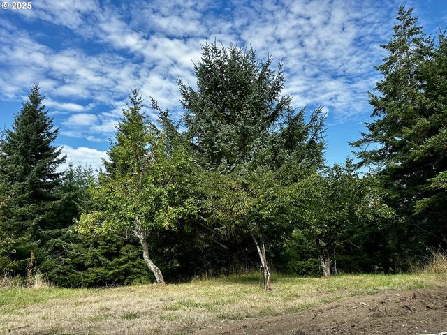 94515 LANGLOIS MOUNTAIN Rd, Langlois, OR 97450