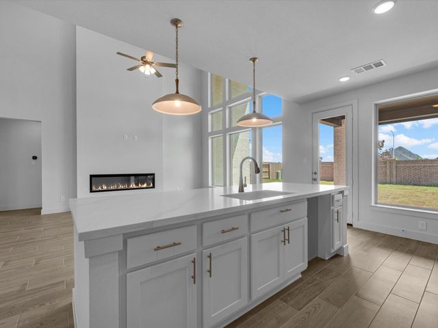 22107 Ivy Landing Street, Hockley, TX 77447