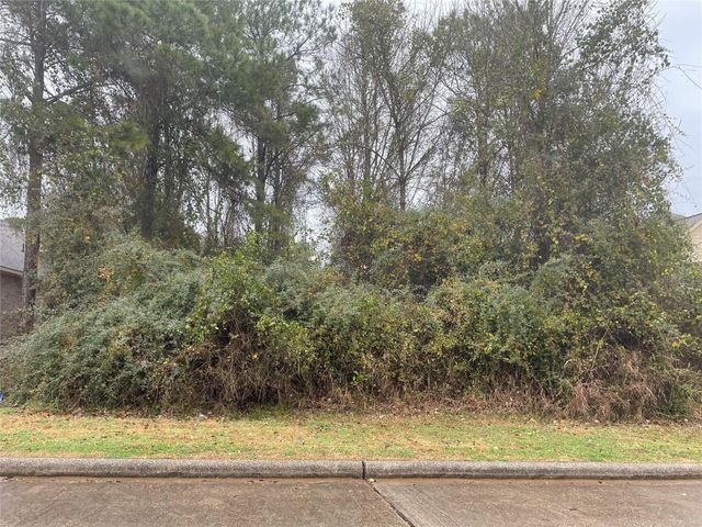 13714 Vail Drive, Montgomery, TX 77356