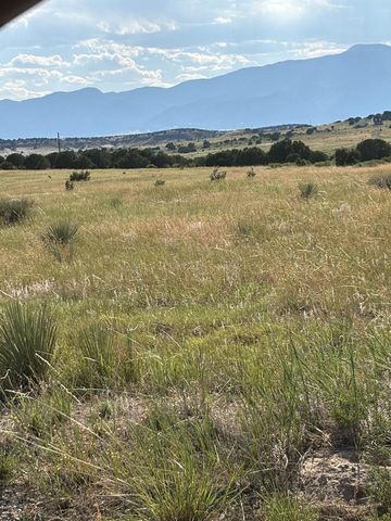 LOT 133 Ghost River Ranch, Rye, CO 81069