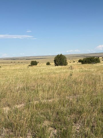 LOT 133 Ghost River Ranch, Rye, CO 81069