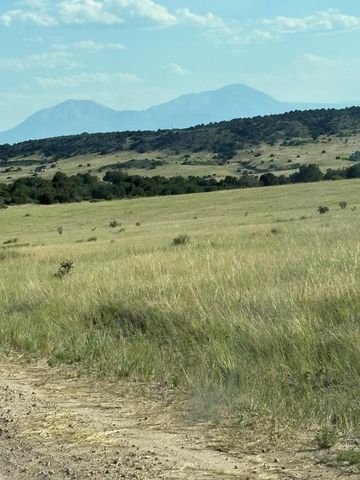 LOT 133 Ghost River Ranch, Rye, CO 81069