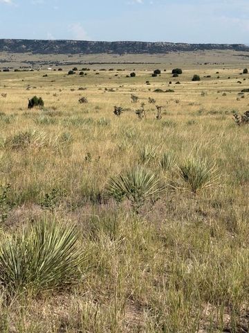 LOT 133 Ghost River Ranch, Rye, CO 81069