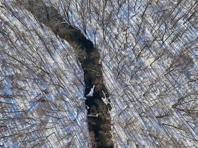 31643 Frost Street, Dowagiac, MI 49047