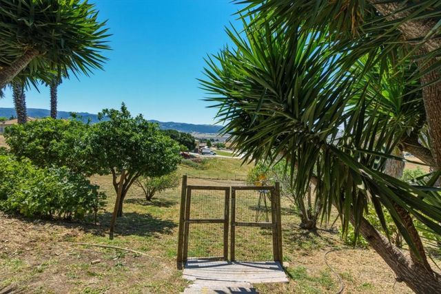 313 Taryn Court, Hollister, CA 95023