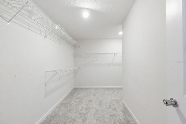 1776 BLACK MAPLE PLACE, Ocoee, FL 34761