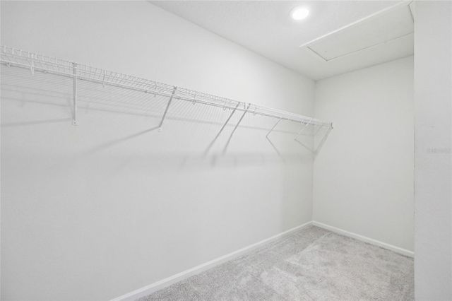 1776 BLACK MAPLE PLACE, Ocoee, FL 34761