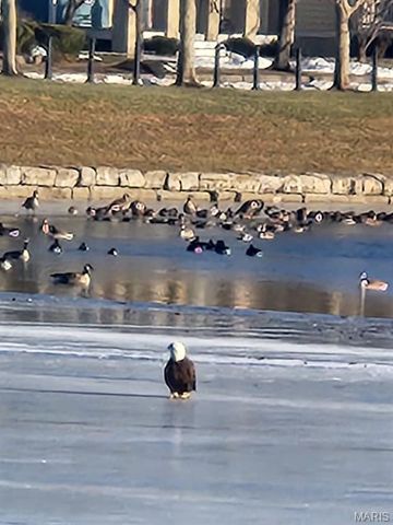 3308 Shutten Street, St Charles, MO 63301