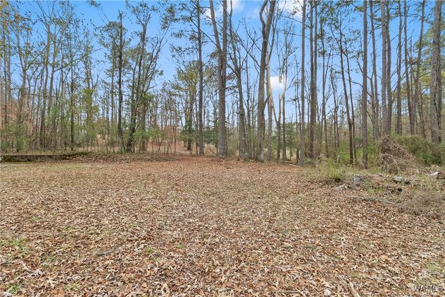 14004 Valley, Northport, AL 35475