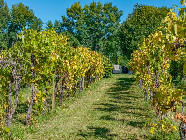 819 Calle Cunyo, Espanola, NM 87532