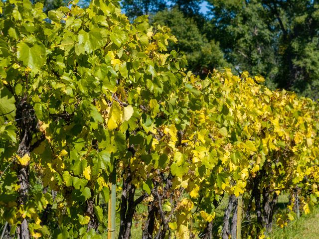 819 Calle Cunyo, Espanola, NM 87532