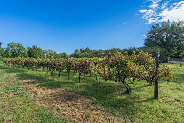 819 Calle Cunyo, Espanola, NM 87532