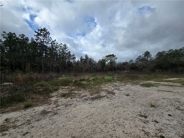 TBD SE 128 Avenue, Dunnellon, FL 34431
