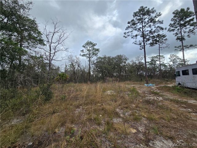 TBD SE 128 Avenue, Dunnellon, FL 34431