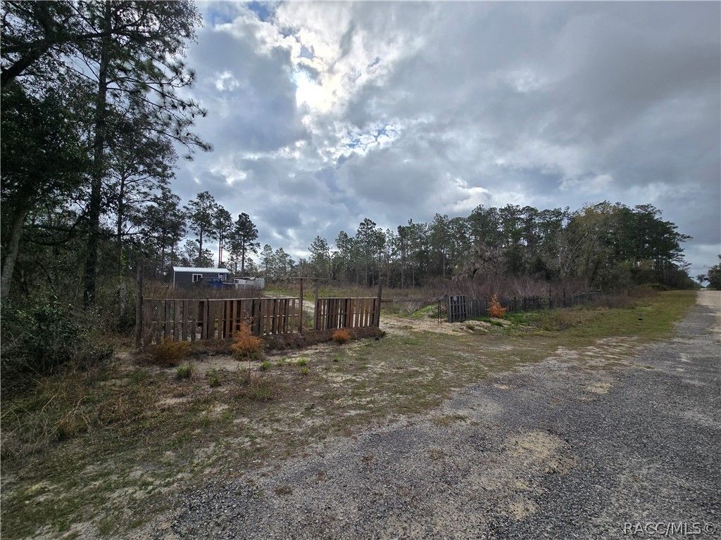 TBD SE 128 Avenue, Dunnellon, FL 34431