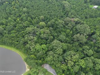 Pine Lake, Terry, MS 39170