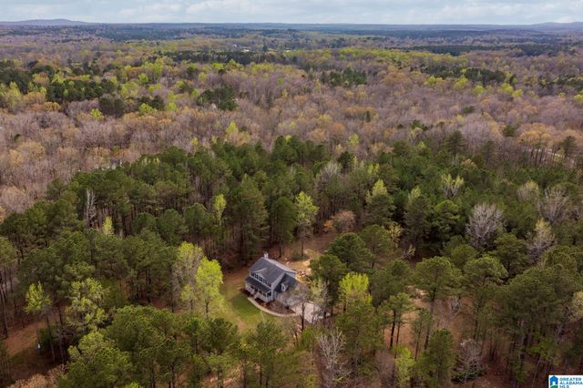 324 DOROUGH ROAD, Columbiana, AL 35051