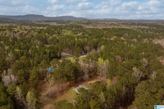 324 DOROUGH ROAD, Columbiana, AL 35051