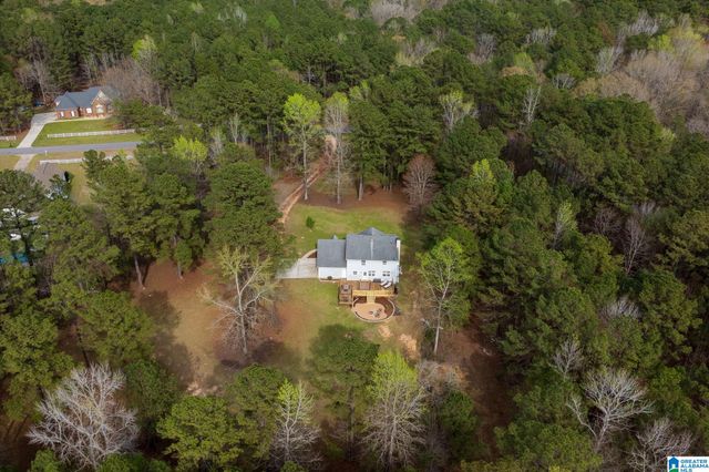 324 DOROUGH ROAD, Columbiana, AL 35051