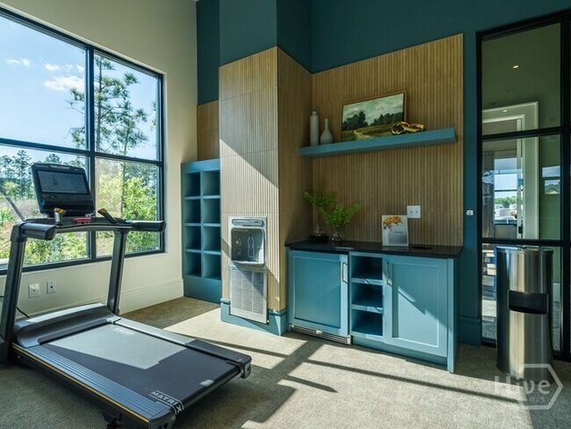 154 Heartwood Avenue S C1U with Garage, Richmond Hill, GA 31324