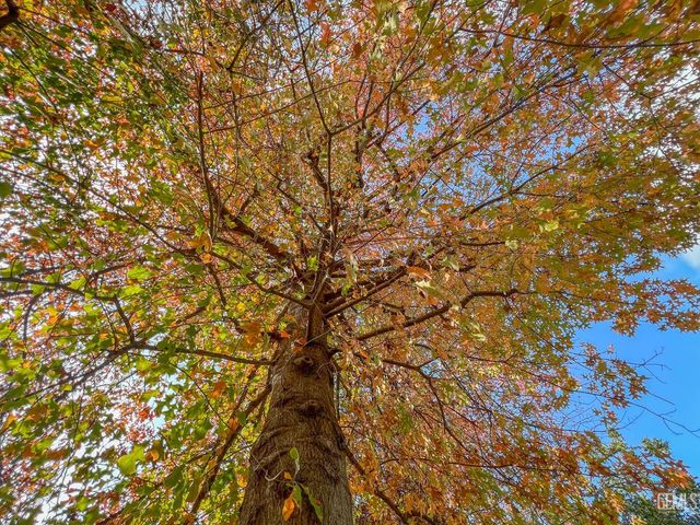 2432 Beech Street, Bakersfield, CA 93301