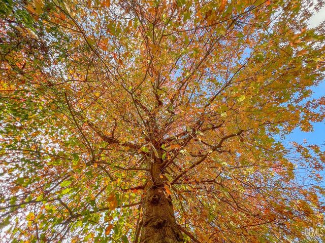 2432 Beech Street, Bakersfield, CA 93301