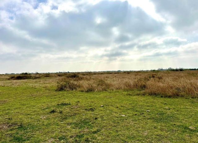 358 County Road 4521, Palacios, TX 77465